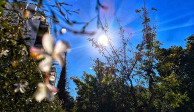 A Sunny Saturday across Greece