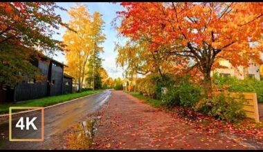 Autumn colors in Helsinki 🍁