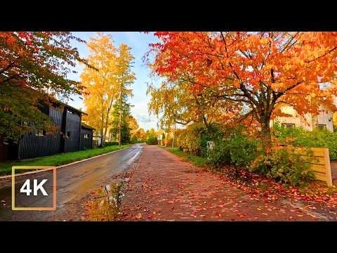 Autumn colors in Helsinki 🍁