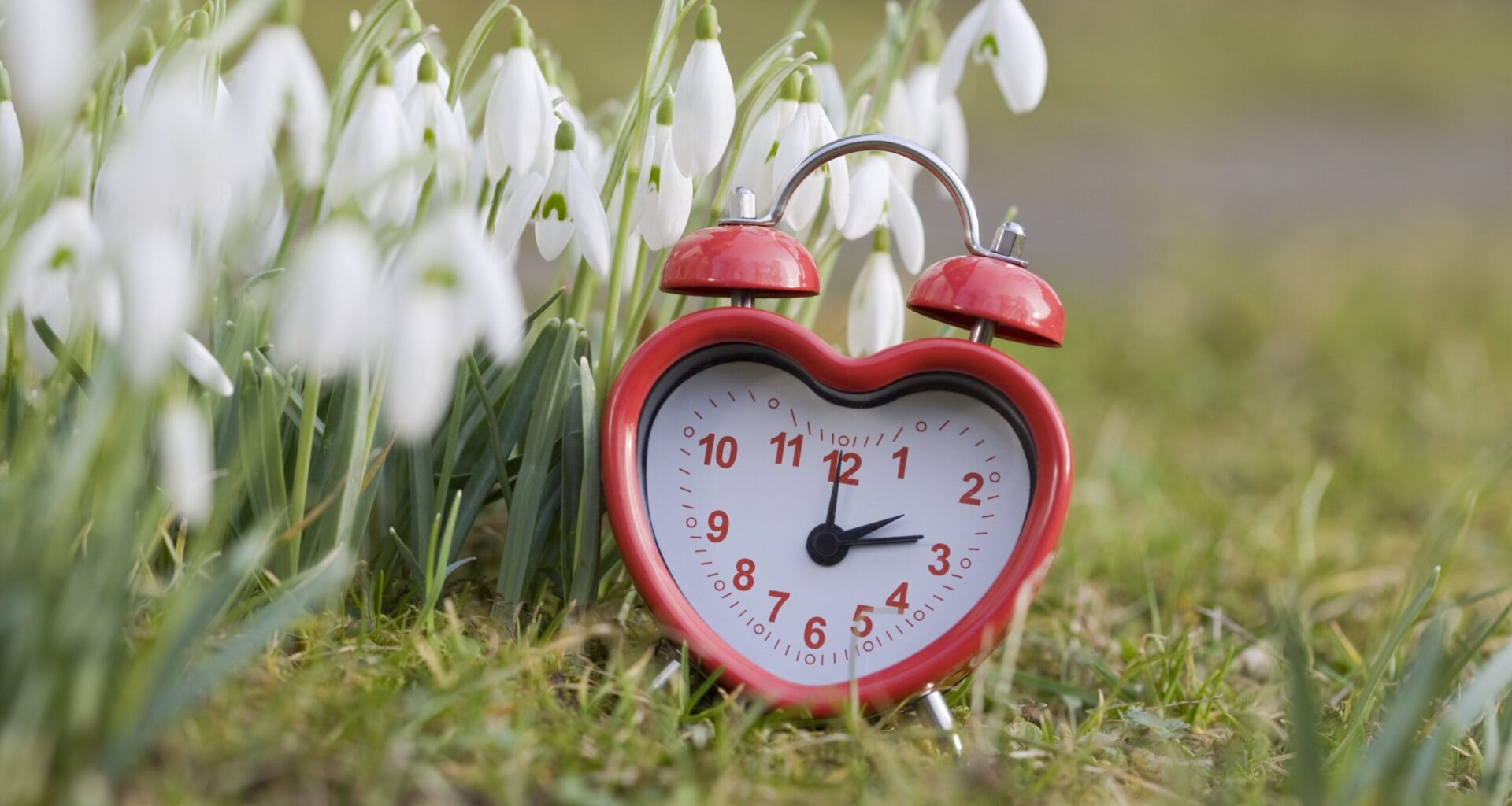 Today is the day with the fewest heart attacks in the year, because the clocks went back and we all had an extra hour to sleep. Correspondingly the day with the most heart attacks is when the clocks go forward in the spring