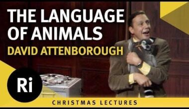 The languages of animals: Beware! - David Attenborough's 1973 Christmas Lectures