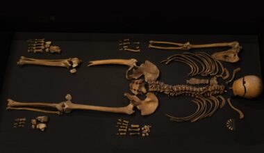 Sverre’s saga: researchers found his 800 year old remains.