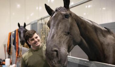 “Horse that led Queen’s coffin to lie in state given ‘animals’ OBE”. I don’t know whether to laugh or cry at how ridiculous our silly country can be.