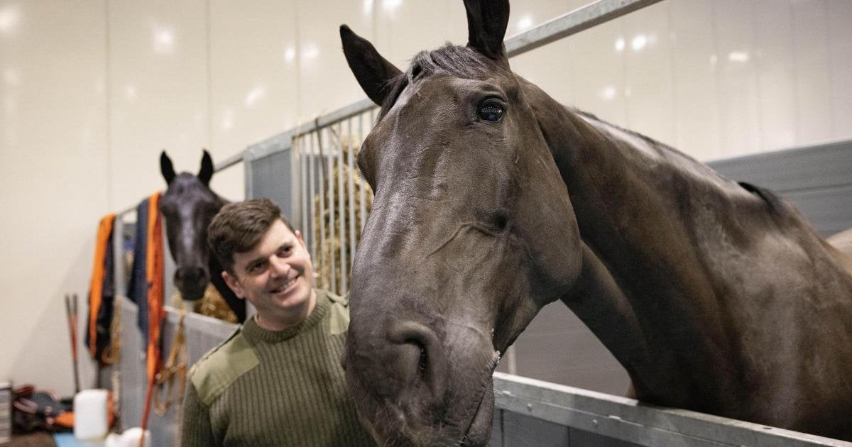 “Horse that led Queen’s coffin to lie in state given ‘animals’ OBE”. I don’t know whether to laugh or cry at how ridiculous our silly country can be.