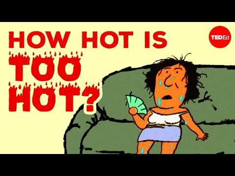 A nice short video on the impacts of extreme heat on health and society