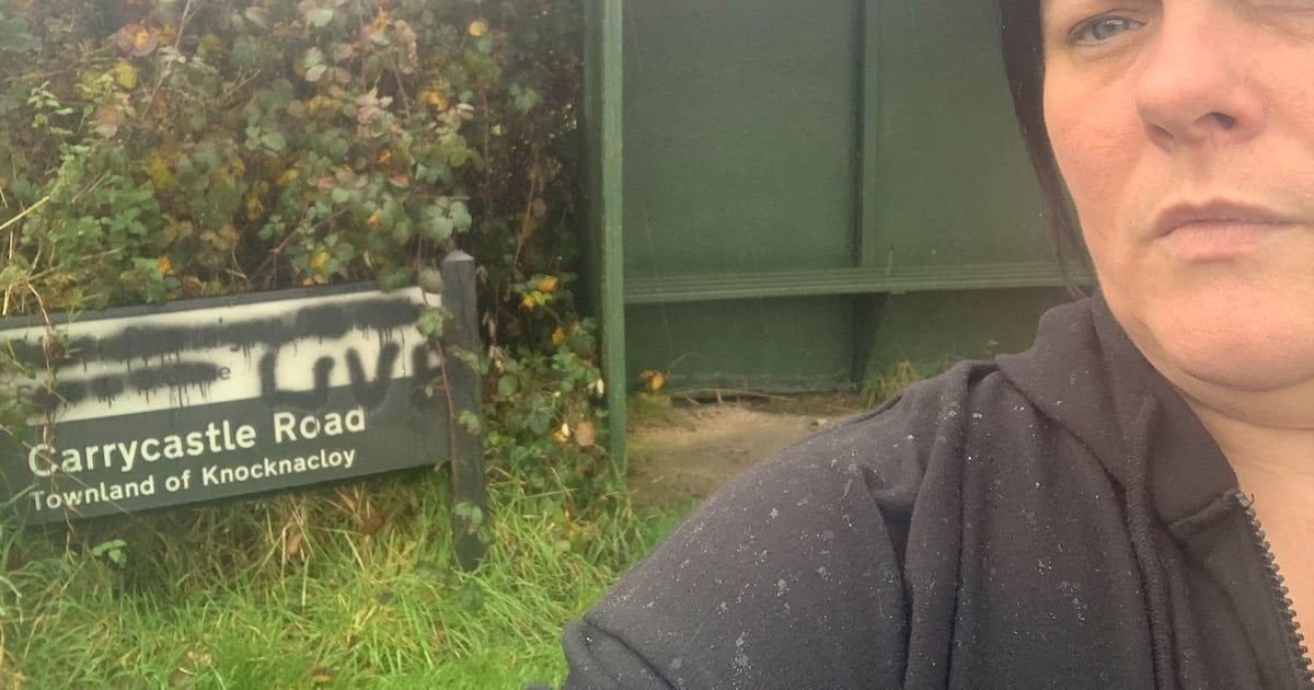 UVF’ graffiti on signs part of ‘campaign of intolerance against Irish language'