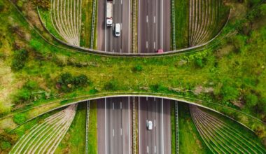 Investing in AI to build next-generation infrastructure