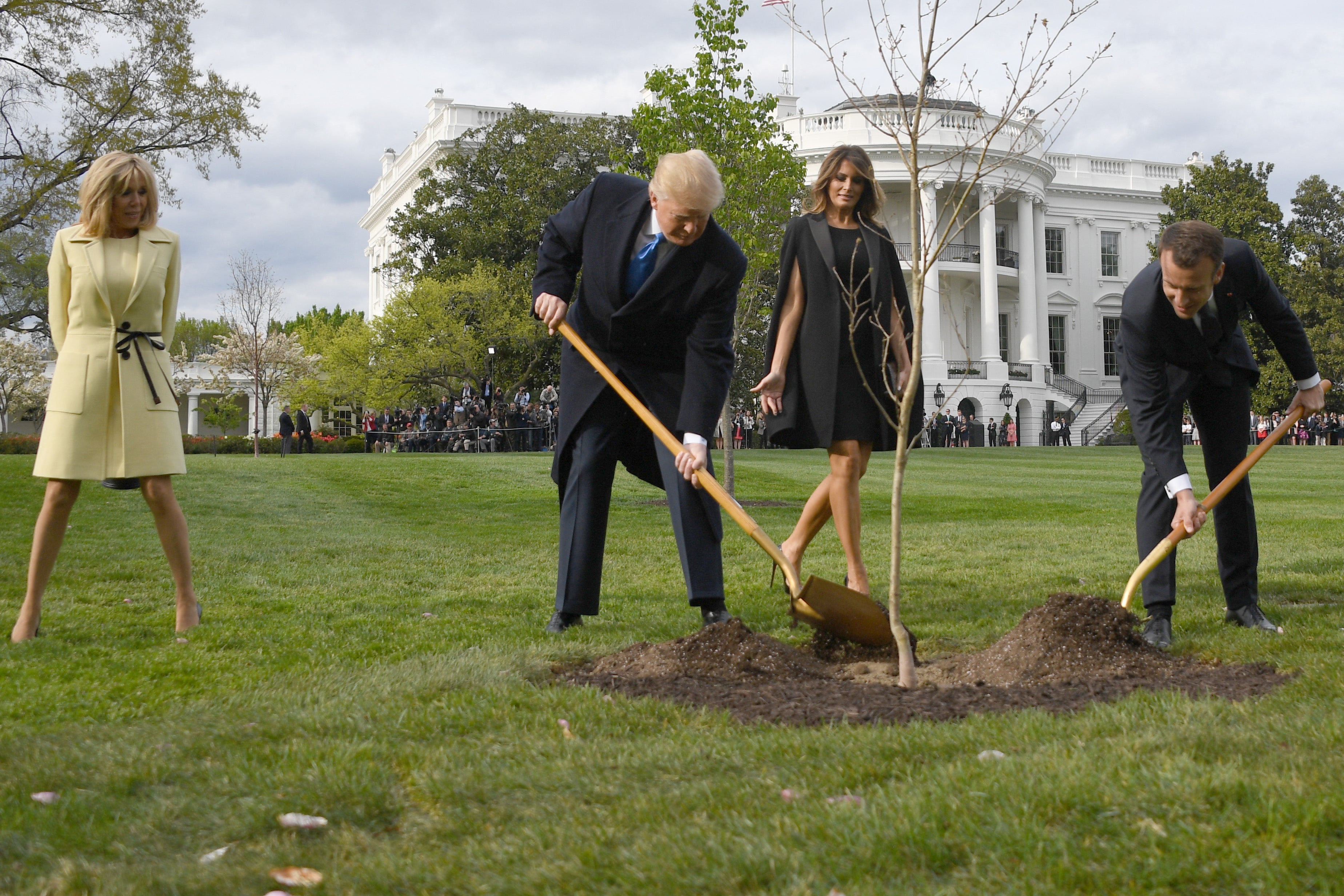 Trump and Macron – watched by the French and American first ladies – plant a tree outside the White House in 2018. The tree came from Belleau Woods in France, where US forces suffered more than 9,000 casualties during a First World War battle