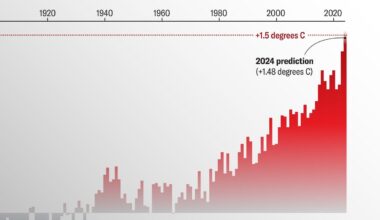 In Record-Hottest Year, U.S. Voters Will Decide Climate’s Path Forward