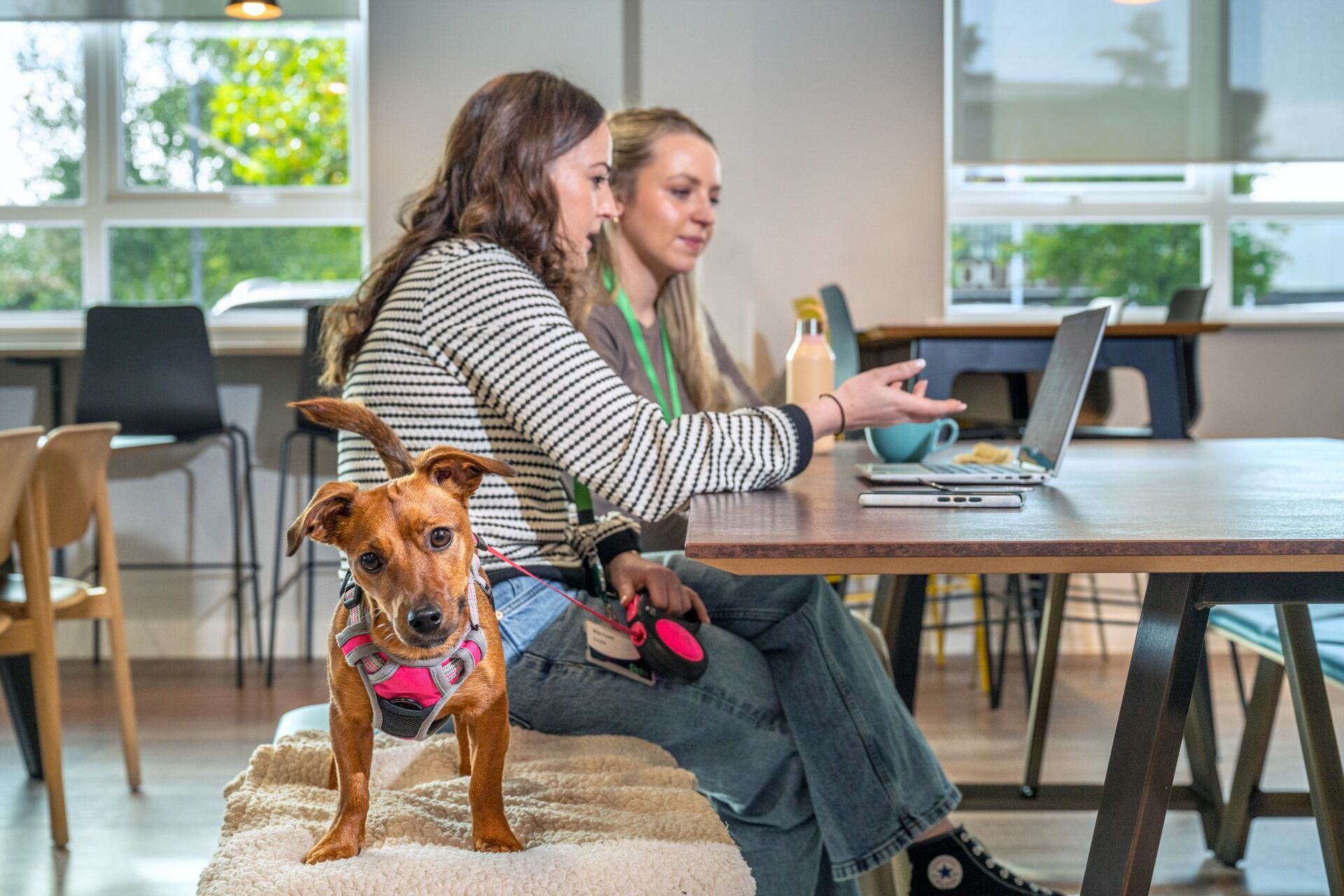 A dog looks straight into the camera with a curious expression, tilting its head slightly, while behind it, two women work at a computer.