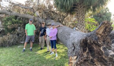 After Hurricane Milton on Florida's West Coast; Climate Change, Old Hickory