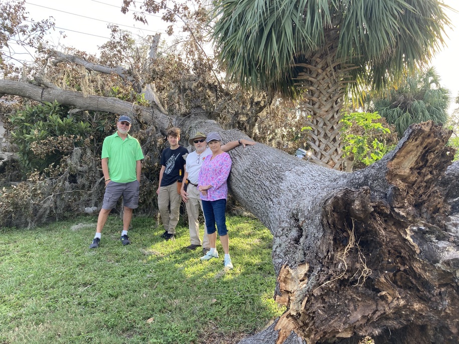 After Hurricane Milton on Florida's West Coast; Climate Change, Old Hickory