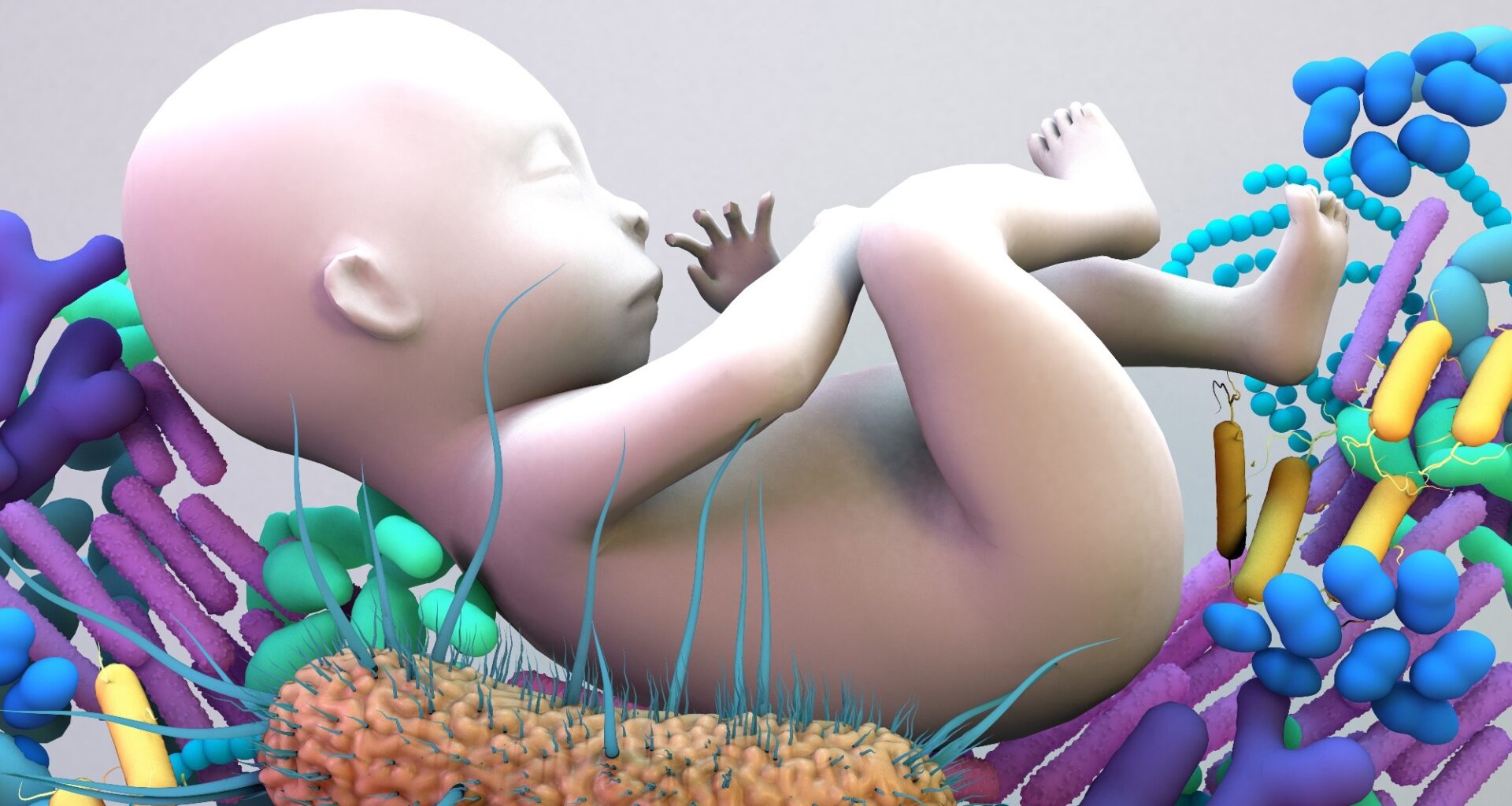 Study: The role of early life factors and green living environment in the development of gut microbiota in infancy: Population-based cohort study. Image Credit: Design_Cells / Shutterstock