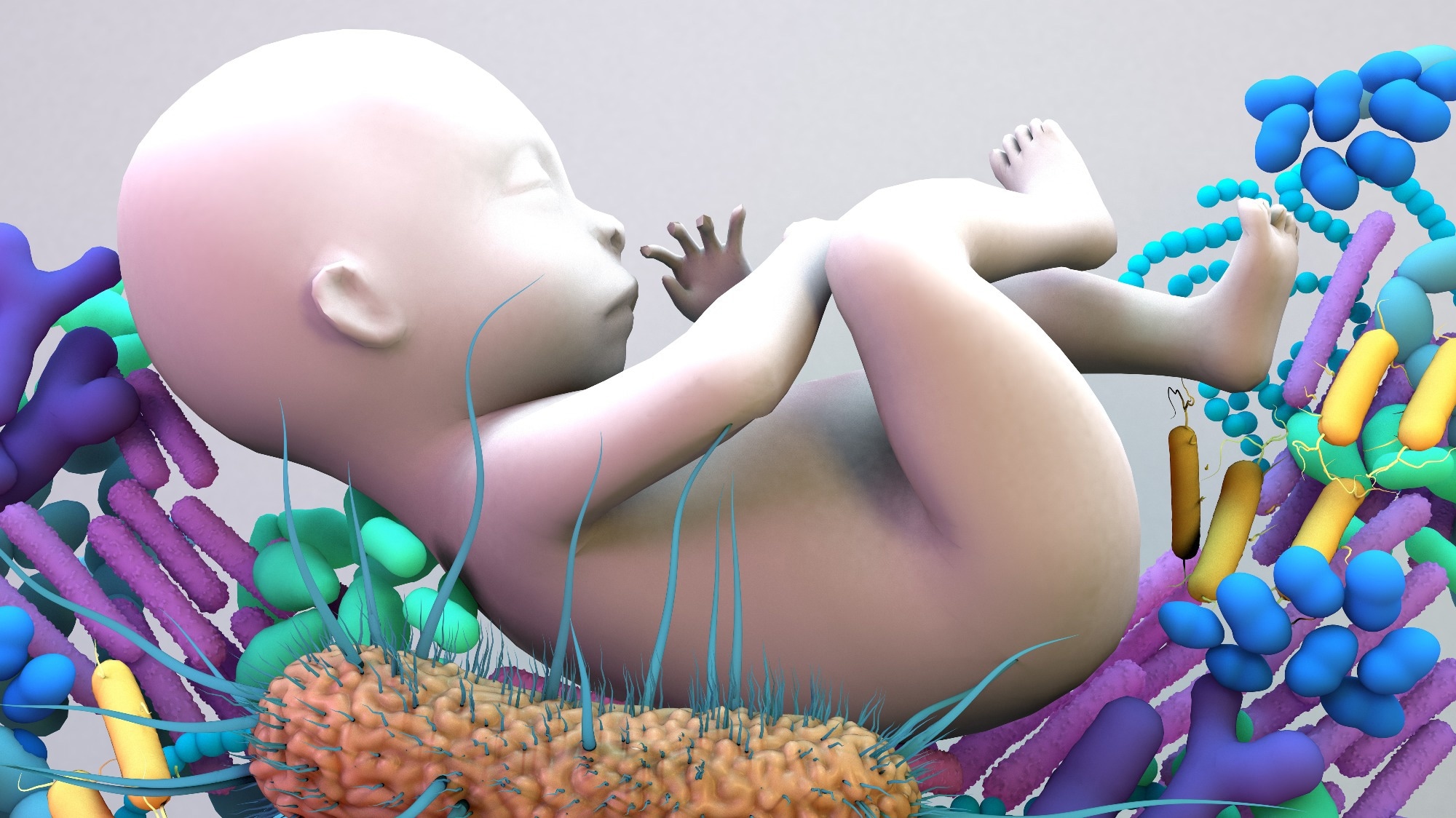 Study: The role of early life factors and green living environment in the development of gut microbiota in infancy: Population-based cohort study. Image Credit: Design_Cells / Shutterstock