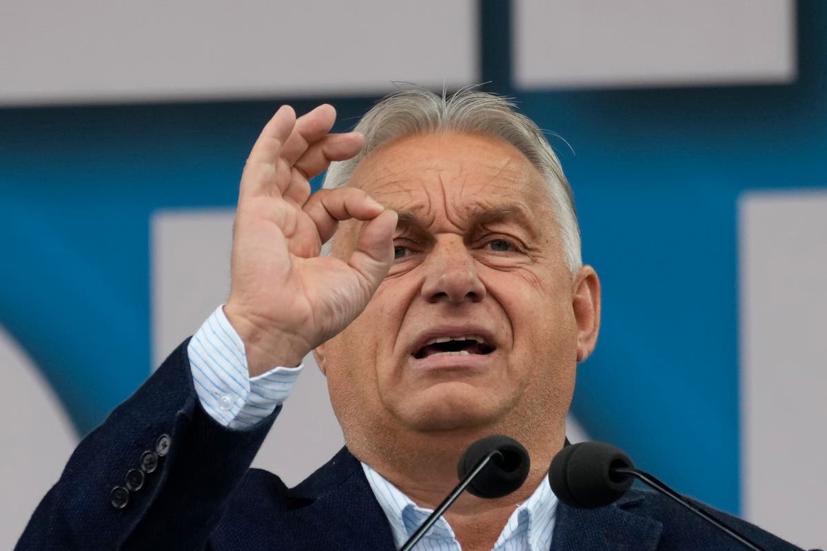 Hungary’s Viktor Orban makes wild claim EU plotted to oust Polish government