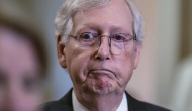 McConnell Criticizes MAGA Movement, Claims Reagan Wouldn't Recognize Trump's GOP