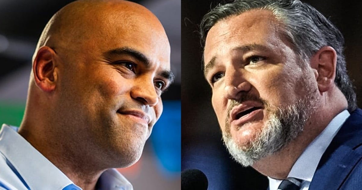 Could Colin Allred beat Ted Cruz? Gap narrows in crucial Texas Senate race