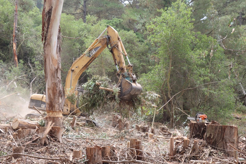 Monterey Bay area climate change projects launched