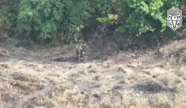 Footage of a Ukrainian kamikaze drone hunting a lost Russian soldier. Combat work drone operators of the "Adam" tactical group. Music and emojis from source.