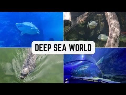 Taking a visit to Deep Sea World situated under the iconic Forth Rail Bridge near Edinburgh, Scotland, featuring its underwater tunnels.