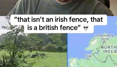 Does anyone know if the fences are different in Britain, I've never been, nor did I know our fences had curves