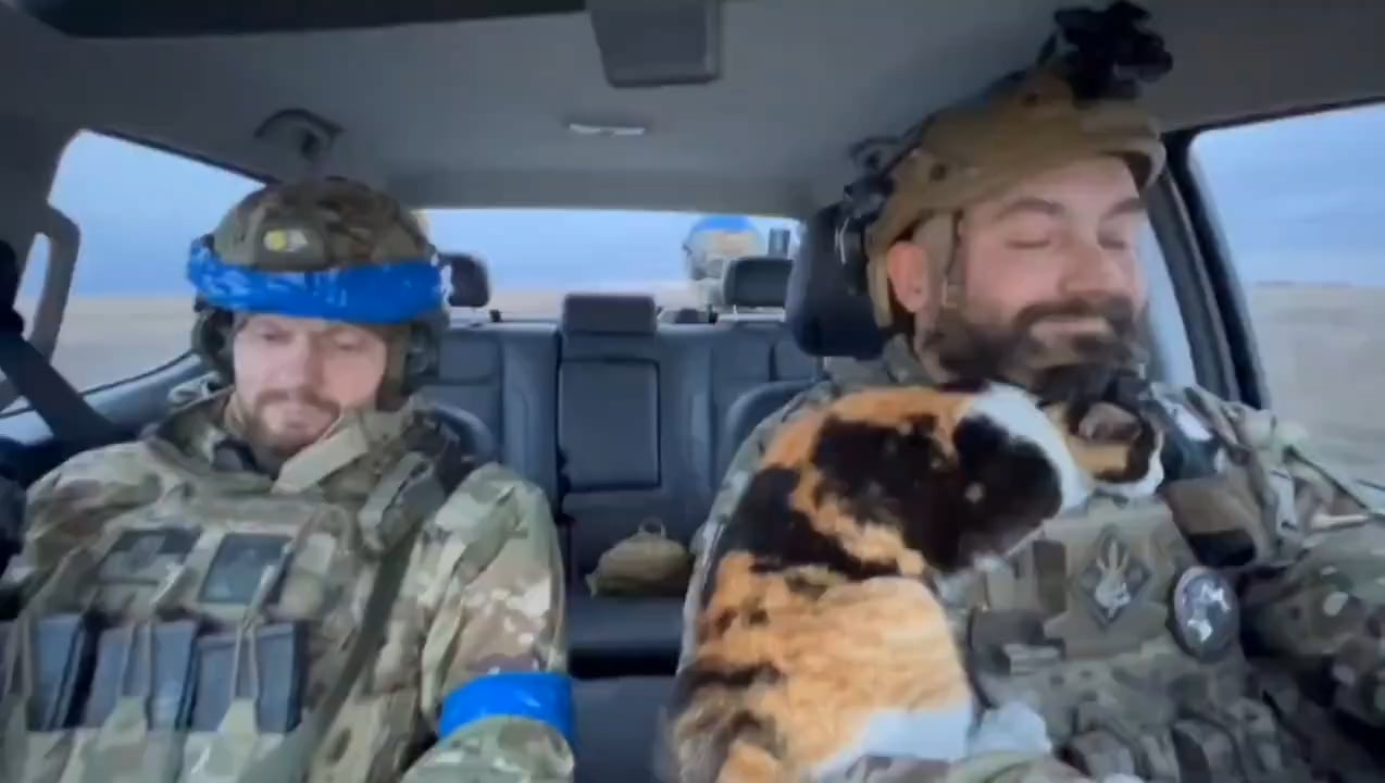 Ukrainian soldiers with a furry companion, en route to Ukraine-controlled Sudzha, Kursk region