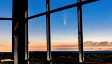 a comet streaks the sky above a dark forest seen through empty windows high up