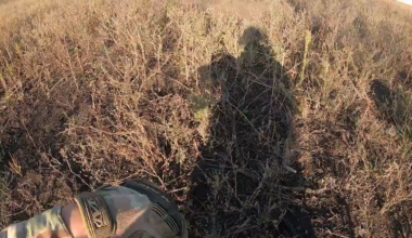 GoPro footage of an unsuccessful Russian assault on Ukrainian positions.  As can be seen, modern warfare is increasingly fought not against soldiers, but against the drones and robots they operate.  After sustaining injuries, the assault group retreated.