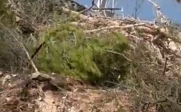 Entrance shaft to a Hezbollah tunnel feet away from a UN peacekeeper outpost in Southern Lebanon.