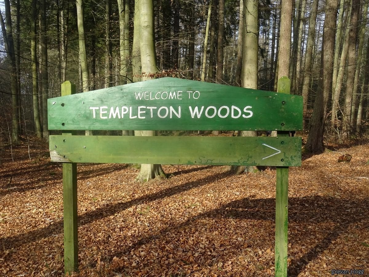 The Templeton Woods Murders: A Chilling Mystery That Haunts Dundee