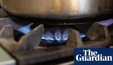 Pollutants from gas stoves kill 40,000 Europeans each year, report finds • Study says harmful gases linked to heart and lung disease shave nearly two years off a person’s life