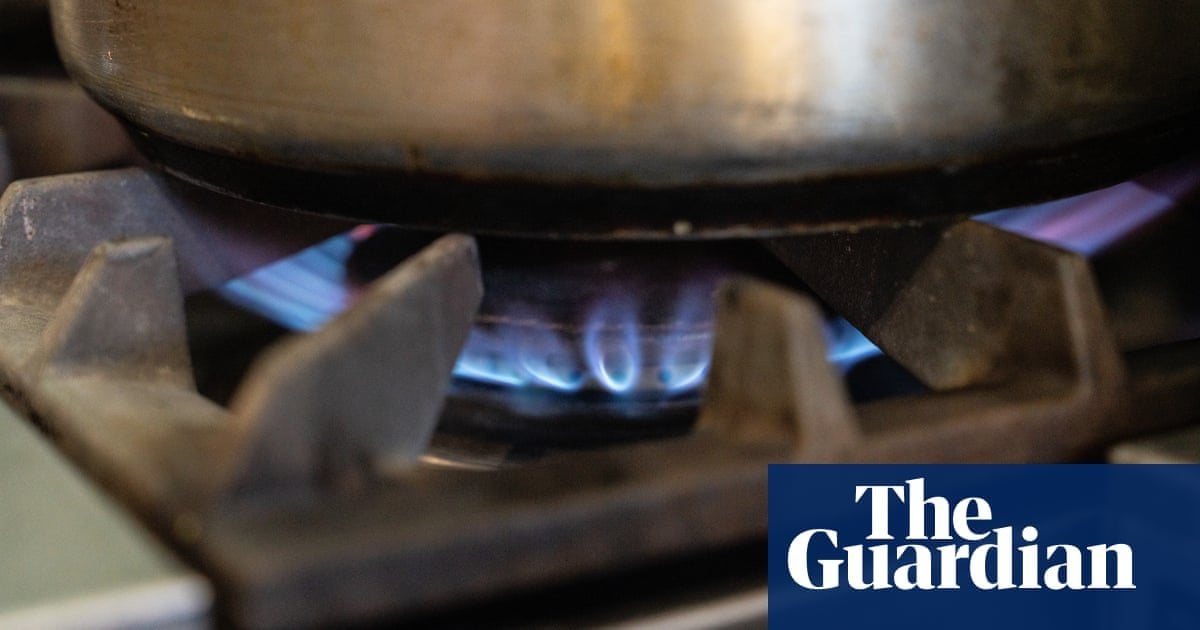 Pollutants from gas stoves kill 40,000 Europeans each year, report finds • Study says harmful gases linked to heart and lung disease shave nearly two years off a person’s life