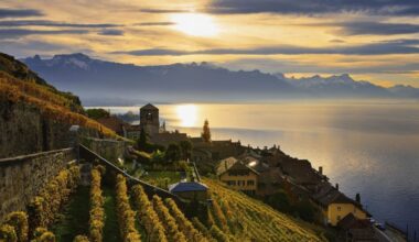 The surprisingly affordable wine region in Europe’s most expensive country