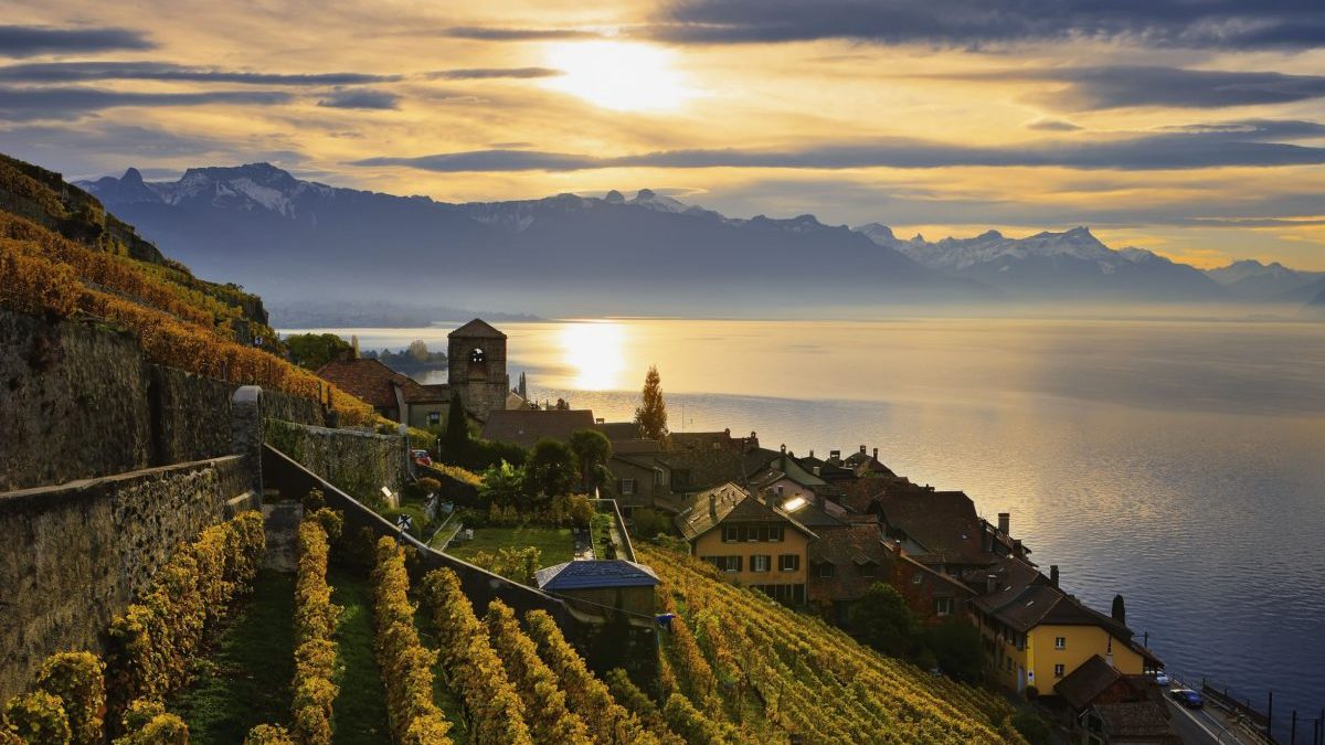 The surprisingly affordable wine region in Europe’s most expensive country