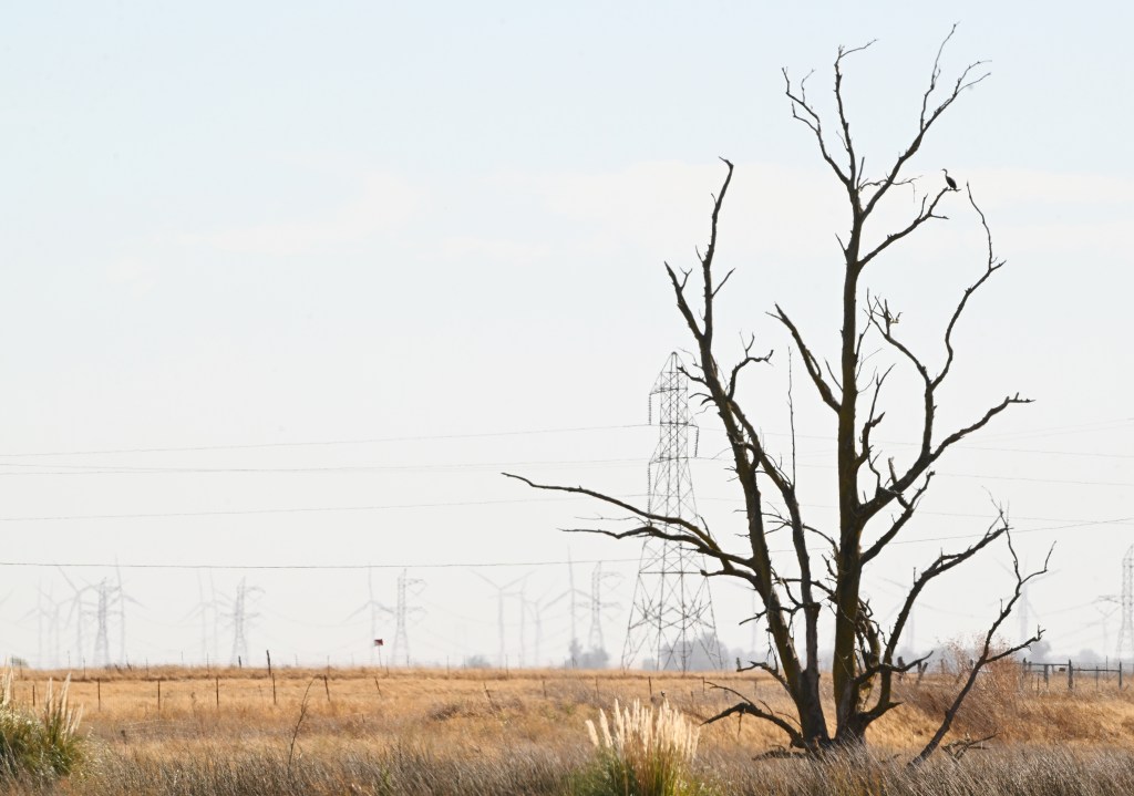 Solano Together hosts environmental panel – The Vacaville Reporter