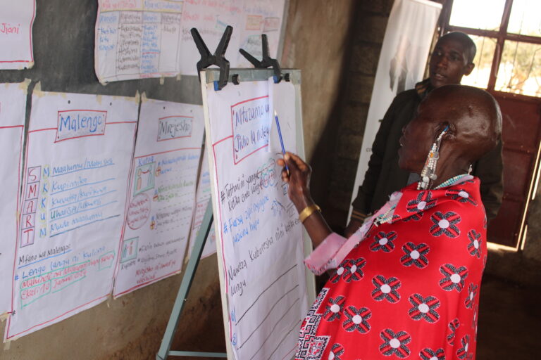 Sikiyo Ole Titaay, a member of an entrepreneurship group called Neseriani, explains something she’s learned at a TACCEI training session. The non-profit provides such groups with $400 of seed capital to help the women set up environmentally-friendly small businesses in Terrat. Image courtesy TACCEI.