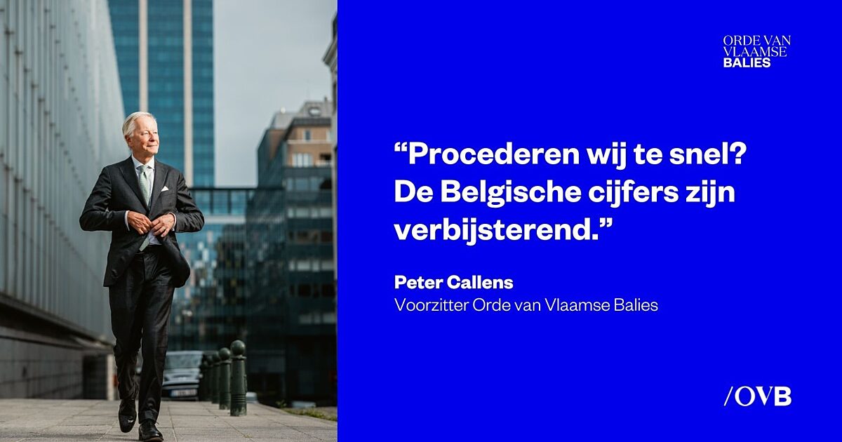 Orde van Vlaamse Balies | Voorzitter op vrijdag: "Procederen wij te…