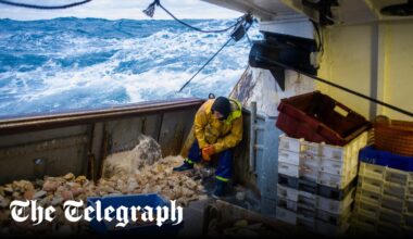 EU to demand continued fishing rights in British waters