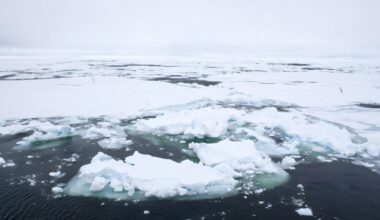 Melting Arctic sea-ice could affect global ocean circulation, study warns