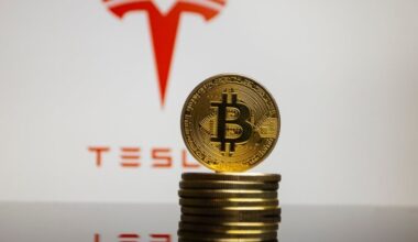 Tesla's Bitcoin Pile Intact Despite Recent Wallet Moves — Elon Musk-Led Company HODLes King Crypto For 5th Straight Quarter - Tesla (NASDAQ:TSLA)