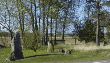 Archaeologists found three large shipwrecks, 139 Viking Graves, and a ship-shaped mound in Sweden