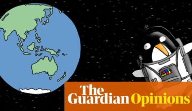 Scientists have discovered that Earth’s carbon sinks are not really carbon sinking at the moment | First Dog on the Moon