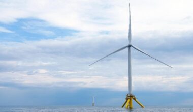 No Bird Collisions At Offshore Wind Site, Study Determines - 
 CleanTechnica