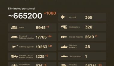 combat losses of the enemy from February 24, 2022 to October 10, 2024.