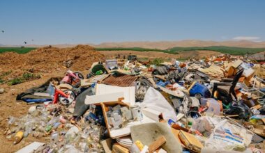 $7.5 Million Settlement Agreement resolves allegations that Walmart unlawfully disposed of hazardous waste and medical waste to municipal landfills