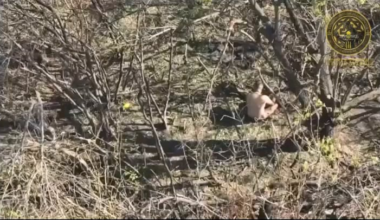 One survivor of a failed Russian infantry assault was given the chance to surrender. A Ukrainian drone operator of the "Ghost of Khortytsia" unit of the 15th Brigade "Kara-Dag" dropped a water bottle with a note, offering the enemy soldier to get captured and treated by a medic. Selydowe direction.