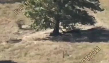 Russian soldier burned alive after drone drop (blured)