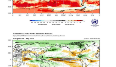 Global Seasonal Climate Update for November-December-January 2024-25 - World