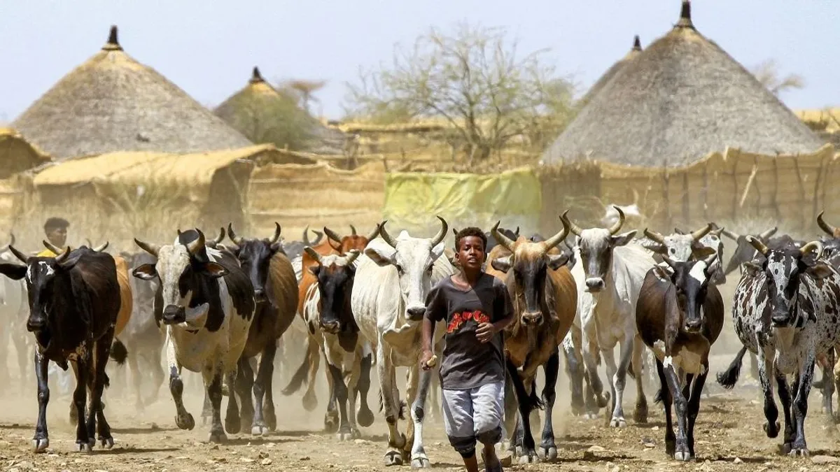 Magyarország hatalmas területet kaphatott volna Afrikában