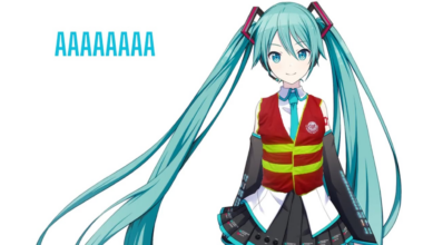 Hatsune miku passe en concert à Paris. Hatsune Miku le lendemain :